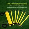 Indoor Taekwondo Agility Ladder