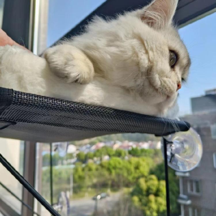 Window Mounted Cat Perch Cute Soft Cat Bed Window Shelf Hammock Window