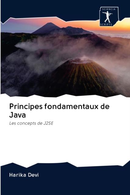 The Principes Fondamentaux De Java Book