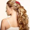 Realistic Bingtanghulu/Burger Hair Clip Funny Food Play Hair Pin for Girl Creative Hair Barrettes Side Hair Styling Clip