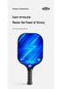 Lightweight Blue Fiberglass Pickleball Paddle Set - Portable and Durable