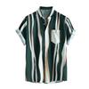 Hawaiian Men'S Short-Sleeved Beach Shirt 3D Printed Short-Sleeved Casual Shirt