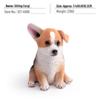 Cute Large Corgi Dog Ornament - Creative Static Model Toy Figure