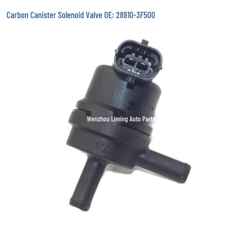 Carbon Canister Control Solenoid Valve for Hyundai/Kia (29010-02150 28910-3F500)
