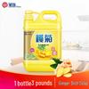 Lanjv Ginger Dishwashing Liquid