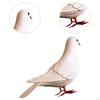 Artificial Bird Foam Pigeon Model, for Events