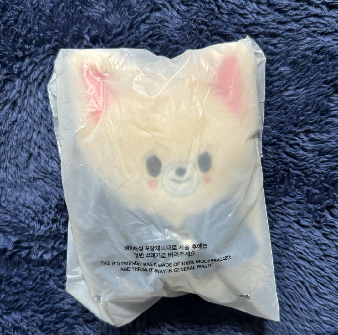 

[USED] Anonymous Shipping SKZOO 10cm Plush Foxxy