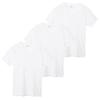 Hanes Short Sleeve Round Quick Dry Blue Size L Men's T-Shirts (3-Pack) - Body, Drying, Feel, Label, V-Neck T-Shirt, HM2125G, White,