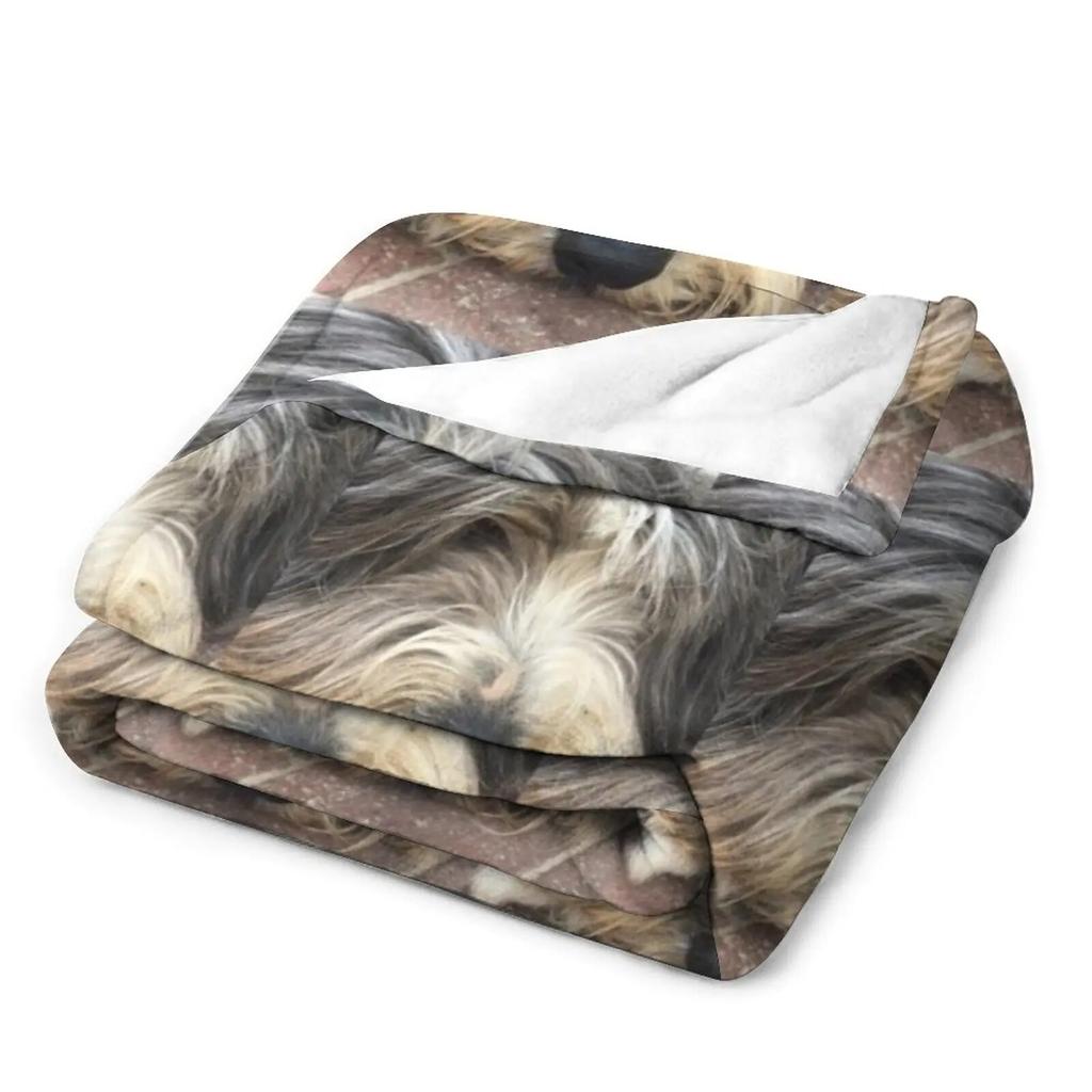 Bearded Collie Nap Time - Always Got One Eye Open Just In Case! Throw Blanket Sofa Blanket Heavy Blanket