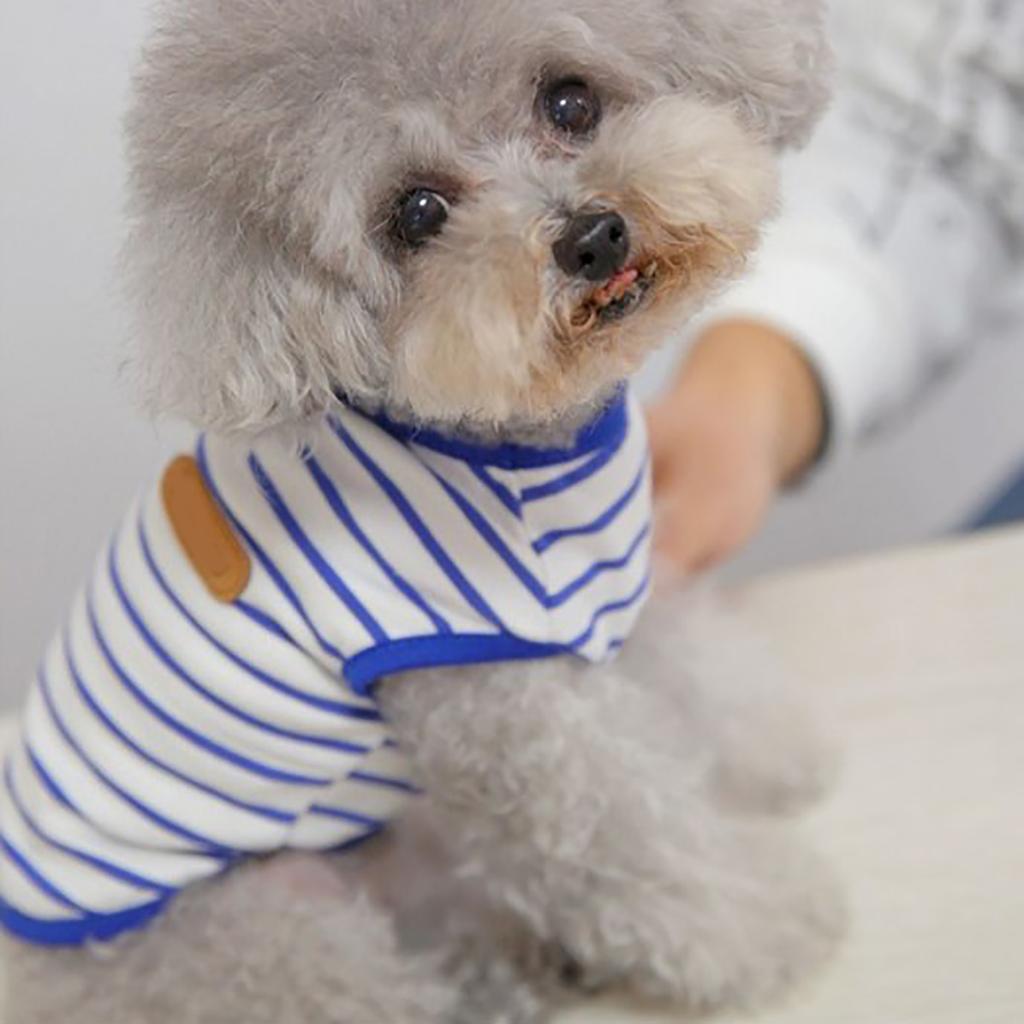 Dog Striped T Shirt Fashionable Soft Comfortable Stretchy Pet Vest for Bichon Frise Schnauzer Teddy Blue XL