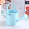 Flower Kettle Mini Water Spraying Metal Pot Watering Bottle Home Garden Decor