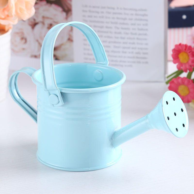 Flower Kettle Mini Water Spraying Metal Pot Watering Bottle Home Garden Decor