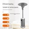 Stainless Steel Umbrella-Shaped Outdoor Gas Heater (LPG/Natural Gas/Coal Gas), Energy-Saving Design for Home Use