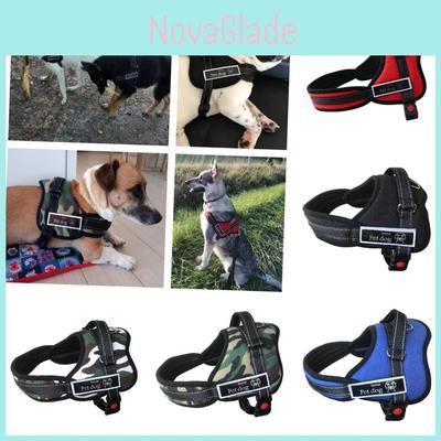 Pet Chest Strap For Golden Retrievers Labradors And Huskies Comfortable And Secure Dog Harness