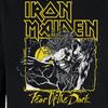 Amplified Unisex Adult Fear Of The Dark Iron Maiden Hoodie