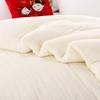 Nanjiren Lightweight Polyester Fiber Summer Comforter