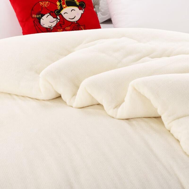 Nanjiren Lightweight Polyester Fiber Summer Comforter