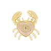 Broches en lichaamssieraden