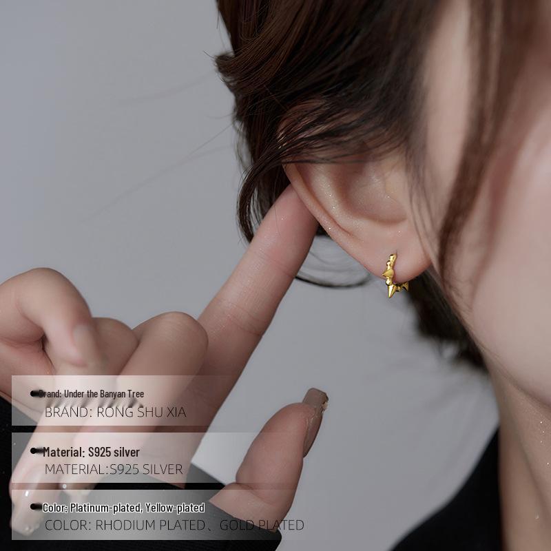 Banyan Tree S925 Silver Punk Hip-Hop Zircon Pointed Hoop Earrings for Women