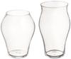 Hirota Glass Ultimate Sake Bud and Flower Set of Glasses, Glasses, 2, INT-3