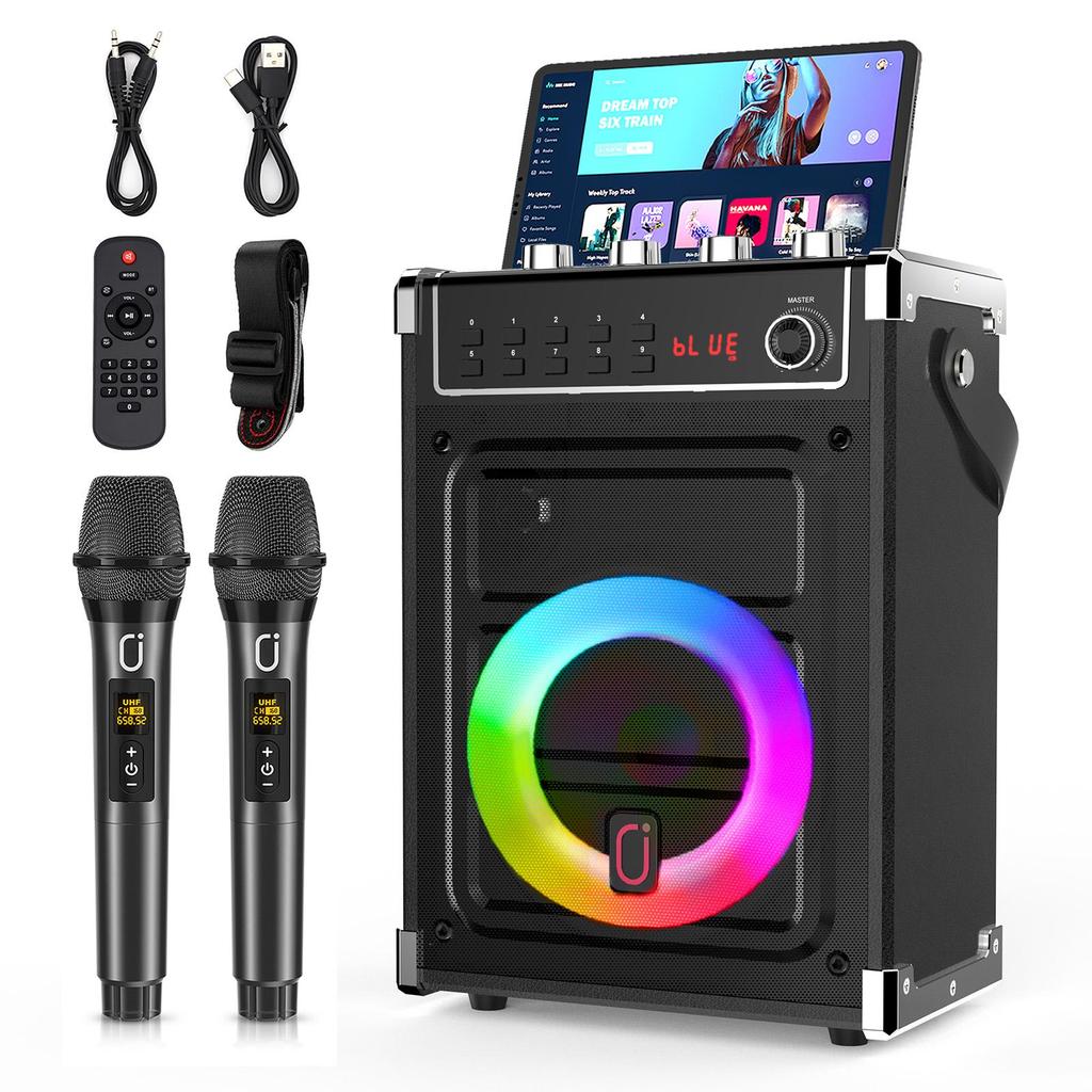 Karaoke Machine, Bluetooth Speaker with Bass/Treble/Echo Adjustment & LED Light, Support USB, SD Card, AUX, TWS, FM, REC