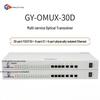Xinguang Youtong GY-OMUX-30D Multi-Service Optical Multiplexer