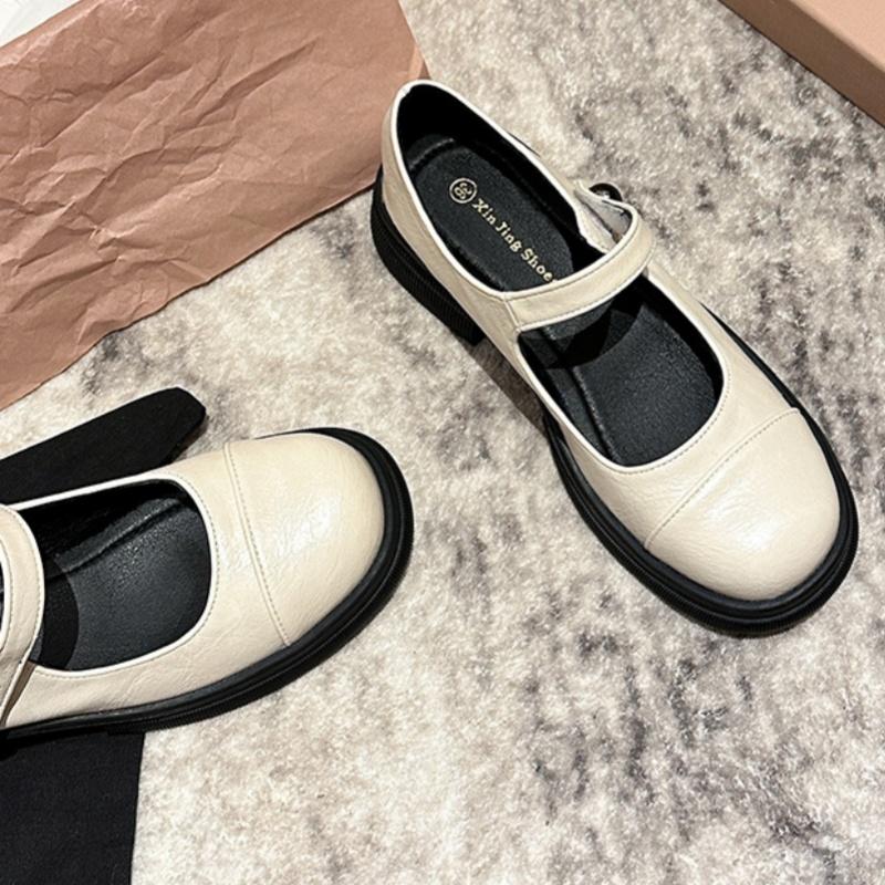 Fashion Spring 2025 Women's Mid Heels Shoes Mary Jane New Style Concise Comfortable Soft Shoes Trend Versatile Women Shoes