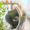 Mini Resin Hedgehog Ecological Landscape Ornaments