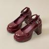 Internet Celebrities Versatile Spring 2025 New Thick Heel Mary Jane Shoes Women's Burgundy High Heels Straps Single Shoes Retro