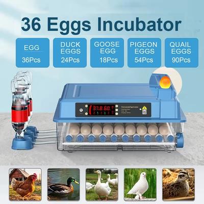 36 Ägg Inkubator Kläckare Automatisk Vattenpåfyllning Fågel Vaktel Kyckling Inkubator Fjäderfä Inkubator Vändare Gård Kläckeri Verktyg