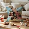 Singer EEmilia Mernes Cushion Cover Silky Short Plush Invisible Zipper Dustproof Sofa Pillow Case for Home Decor