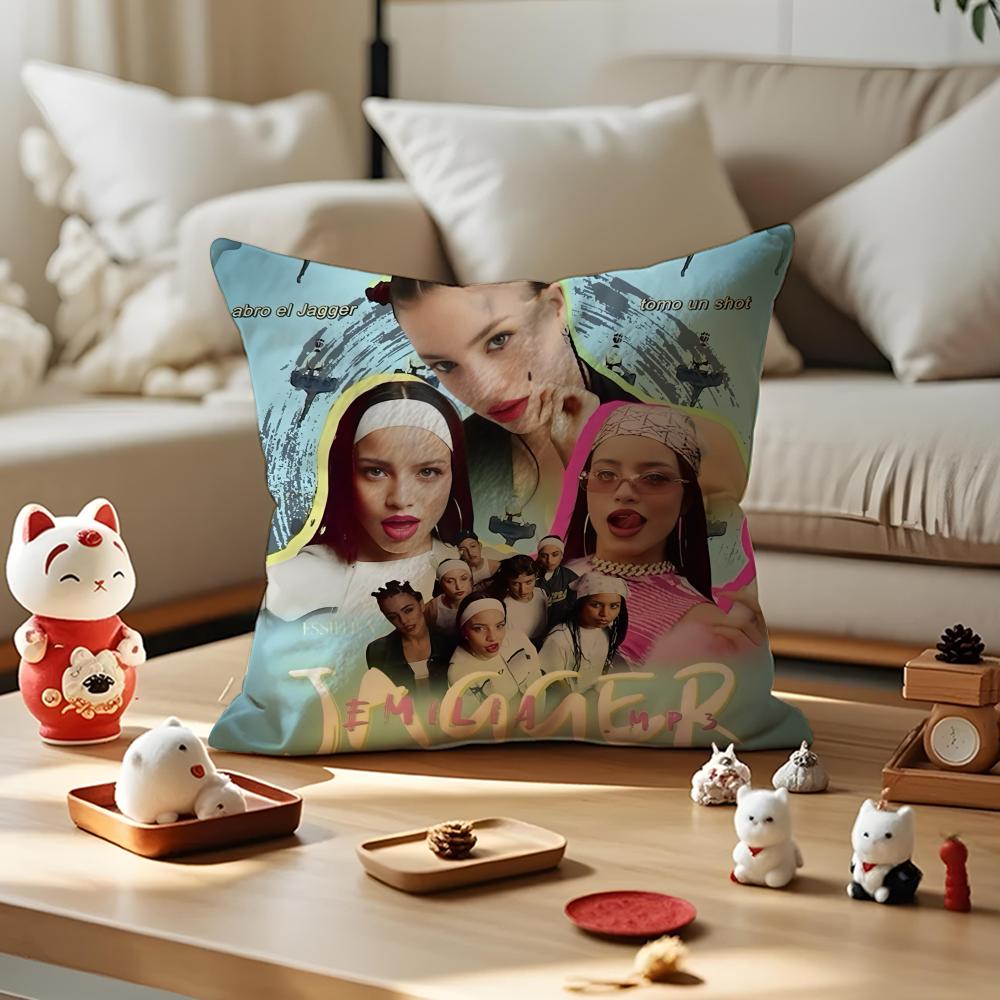 Singer EEmilia Mernes Cushion Cover Silky Short Plush Invisible Zipper Dustproof Sofa Pillow Case for Home Decor