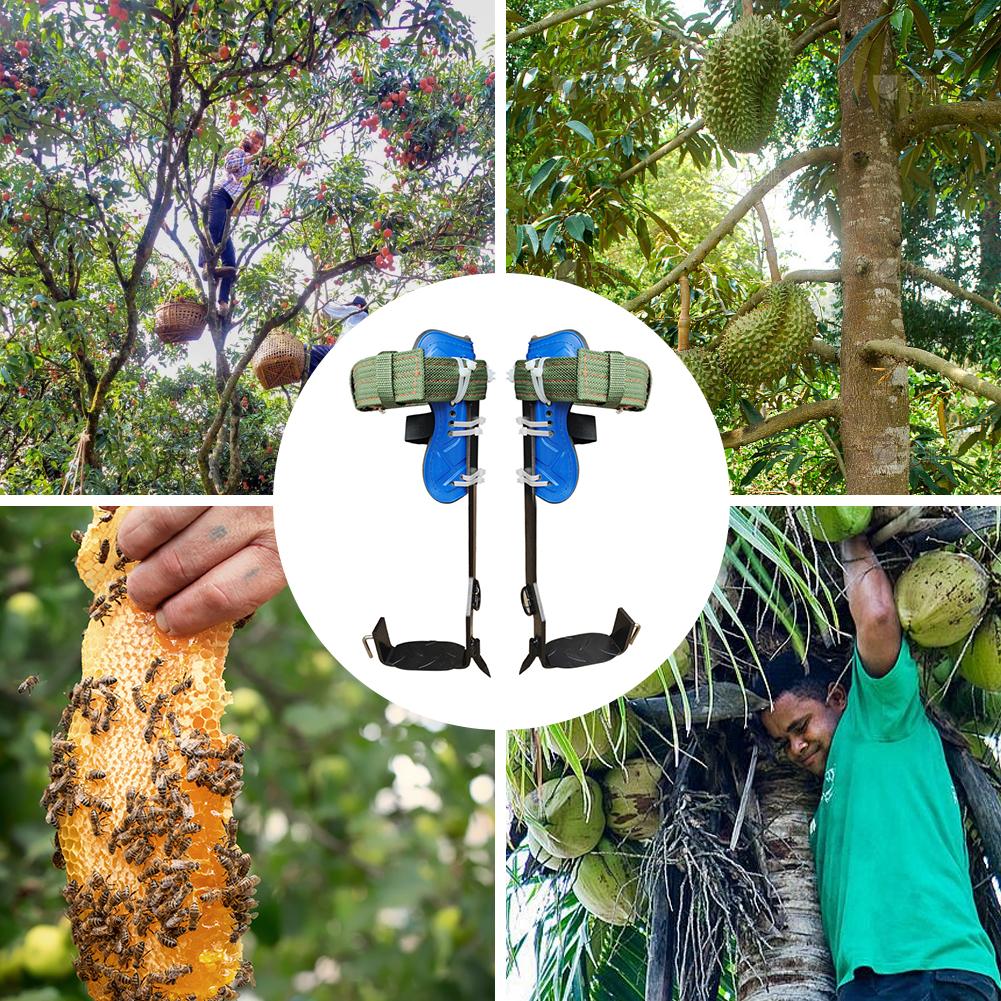 Tree Climbing Spike Gear Adjustable Height Piercing Tree Climbing Tool Set with Safety Belt Load 350lbs for Climbing Picking