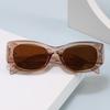 European Fashion 2026 Anti-UV Cat Eye Sunglasses with Sun Protection - Stylish Small Frame Design