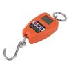 Portable Electronic Scale High Accuracy Digital Hanging Scale 200kg Weight Capacity Crane Scale for Food Luggage