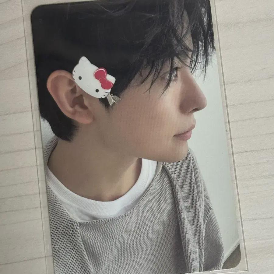 

NCT Пожелание Юуши Фотокарточка Китти