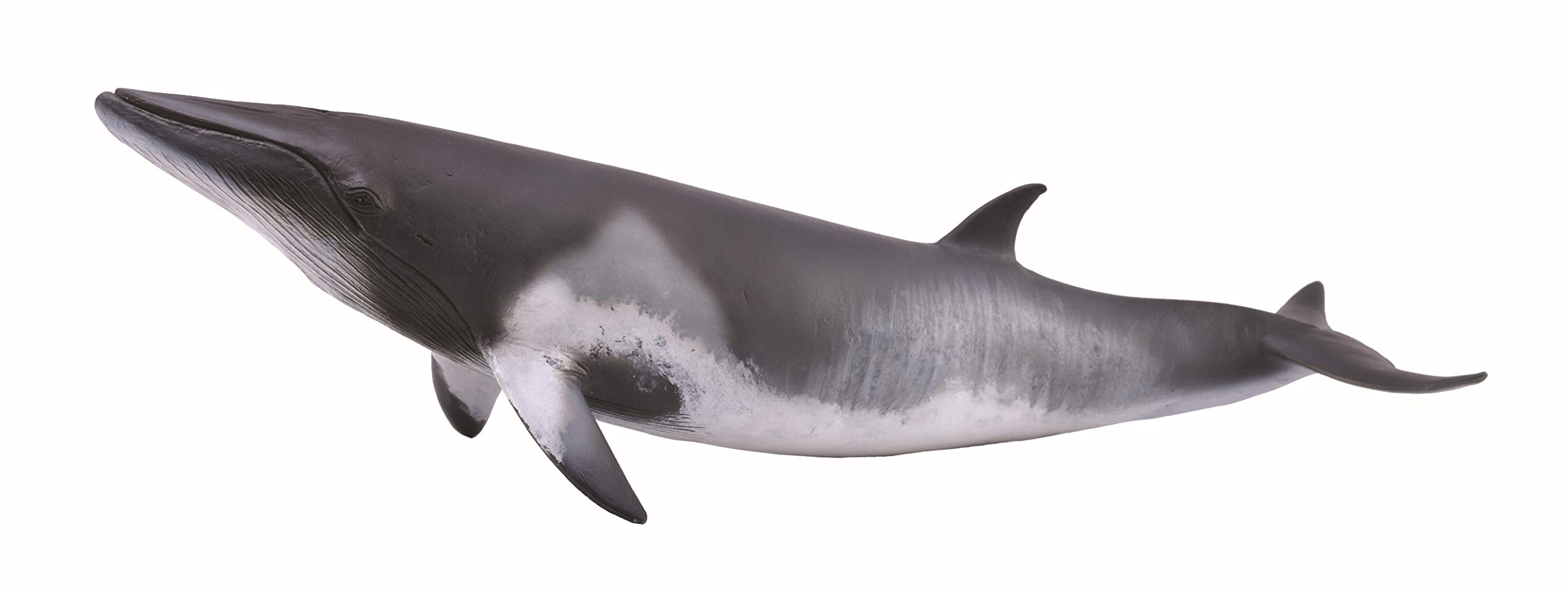 

CollectA Minke Whale Figure 88862