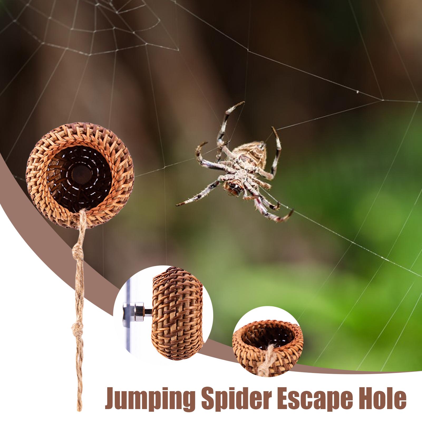 Аксессуары для пауков-скакунов Мелкие животные Ротанговое жилище Маленькое магнитное жилище для пауков-скакунов Для древесных животных Маленькое CHINA