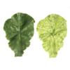 Plastic Fake Lettuce Leaves Green Realistic Salad Green Vegetables  Party Decoration