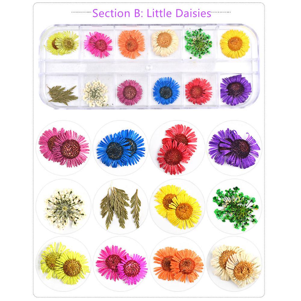 Mix Dried Flowers Nail Decorations Jewelry Natural Floral Leaf Stickers 3D Nail Art Designs Polish