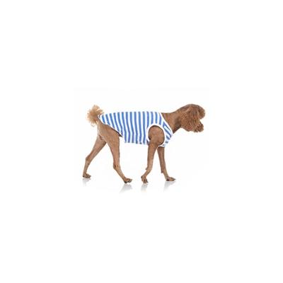 Blue Striped Sleeveless