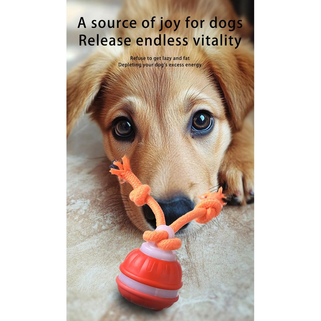 Interaktywne Zabawki dla Psa, Nowe Piszczące Zabawki dla Psa, Aktywna Tocząca się Piłka dla Szczeniaków i Psów Średniej Wielkości, Ładowana przez USB