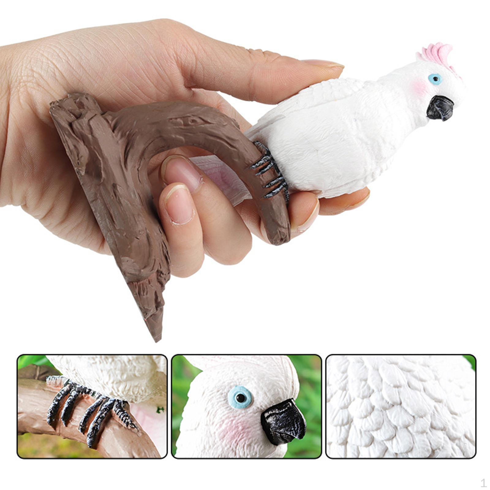 

Фигурка птицы Модель попугая для детей Подарки Домашний декор