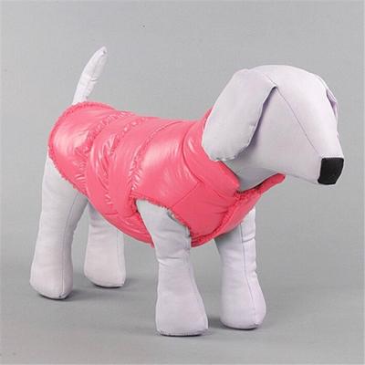 dog jackets for winter