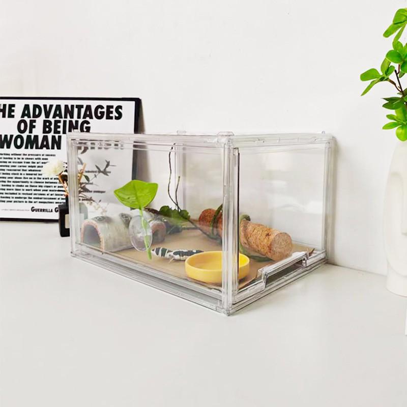 Acrylic Drawer-Type Reptile Terrarium Crested Gecko Horned Frog Bearded Dragon 36x27x22cm PET Plastic Enclosure