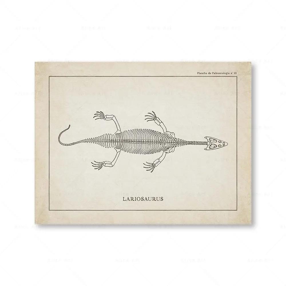 Canvas Painting Nordic Posters And Prints Vintage Dinosaur Skeleton Paleontology Wall Art Wall Pictures For Boy Kids Room Decor