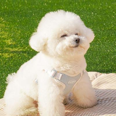 Petbeo Free Band X-Type Harness for Small Dogs, Medium Dogs, Sora