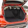 Bil Pet Seat Cover Baksätesmatta Filt RAGI
