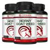Coolkin Epimedium Extract Capsules - Endurance, Energy