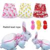 1 Set Kaninchen Kleidung Leine Spitze Saum Bowknot Pfirsich Druck Haustier Kaninchen Hamster Zugseil Pet Liefert